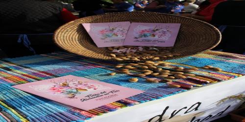 Fiesta del Almendro en Flor en La Palma